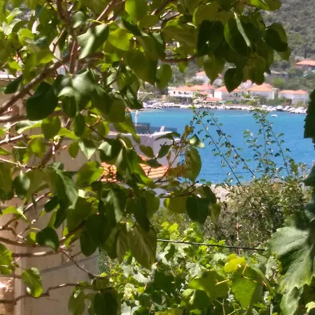 New And Completely Renovated 5-1