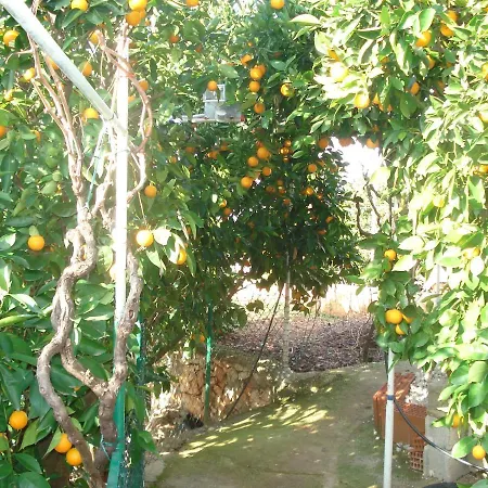 شقة New And Completely Renovated 5-1 Vinišće